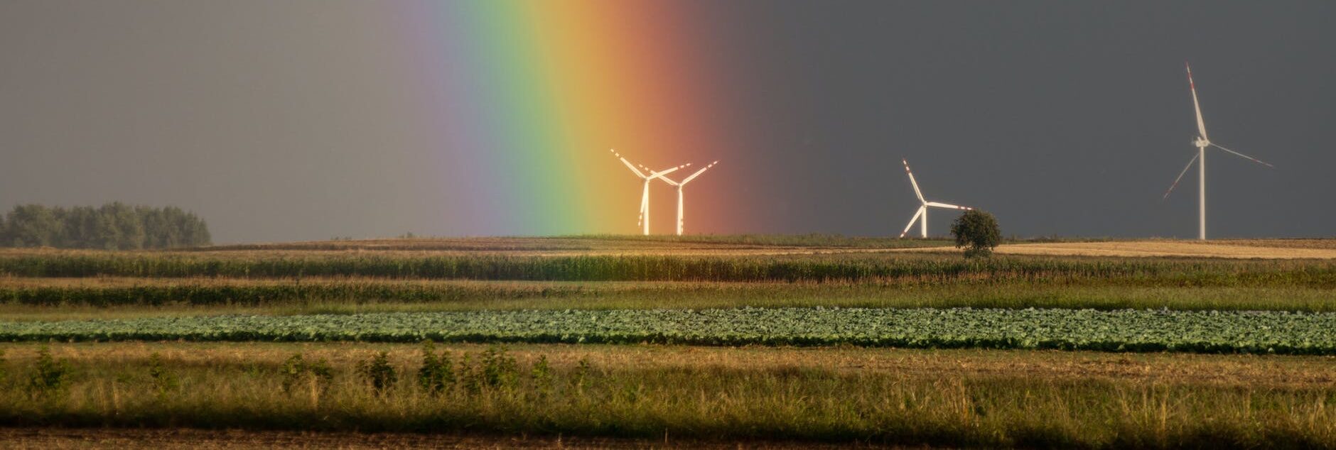 landscape photography of field with wind mill with rainbow