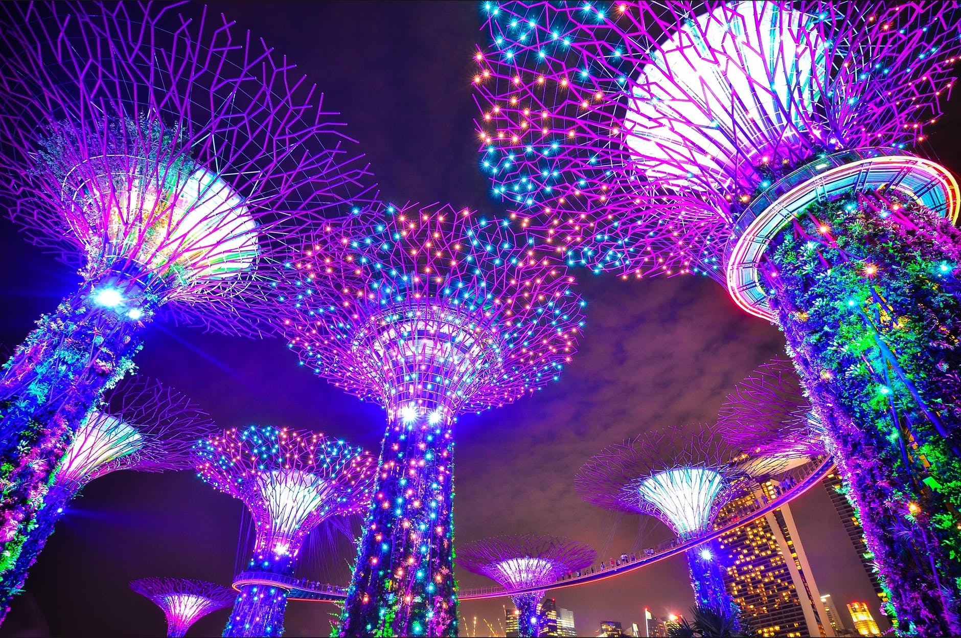 gardens by the bay singapore