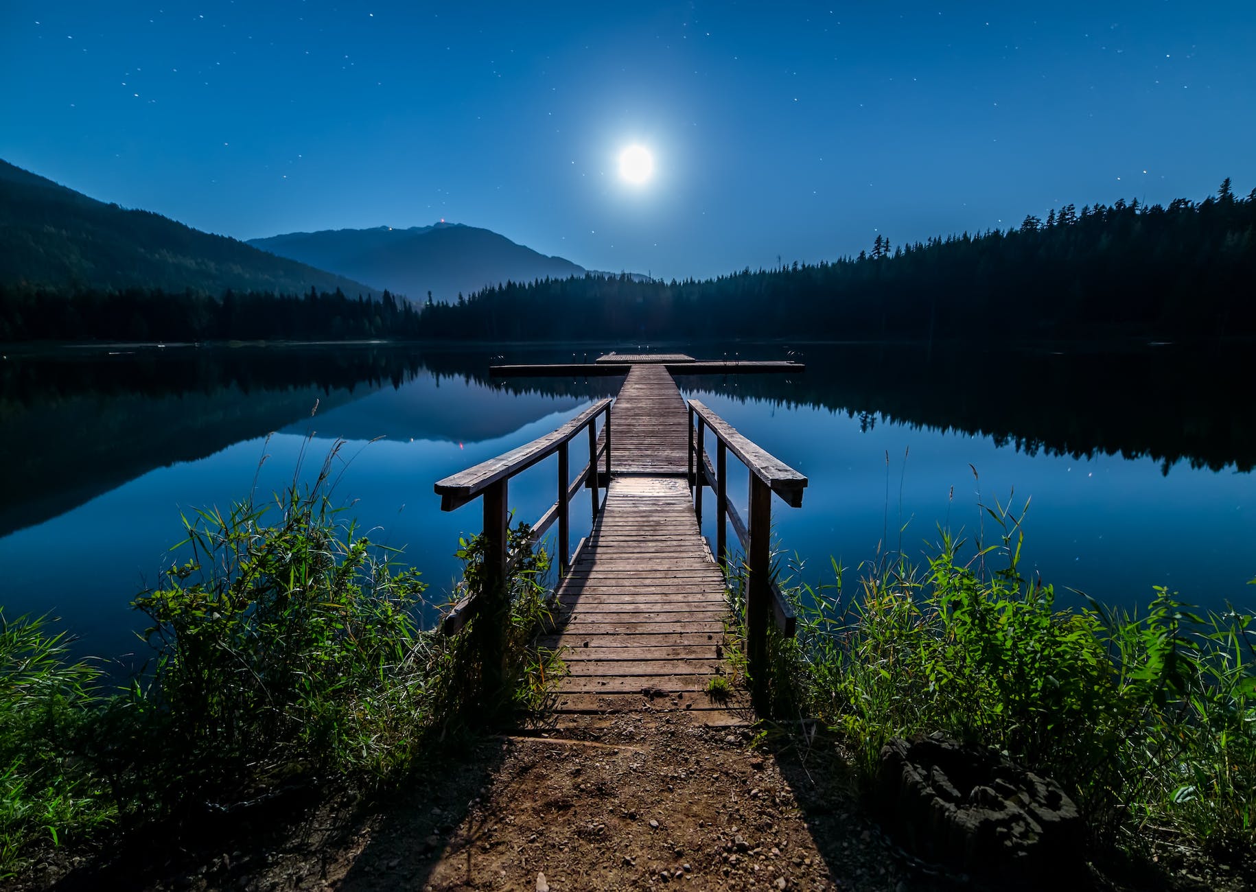 brown wooden dock