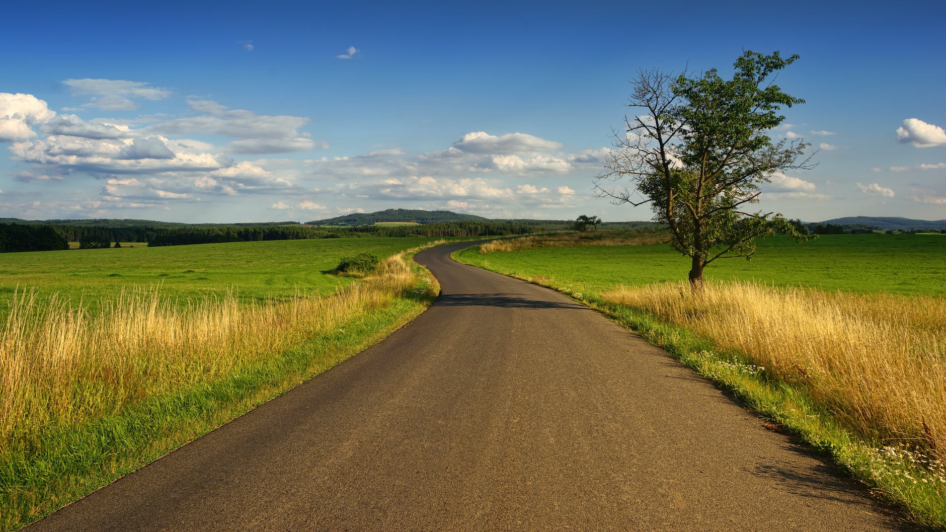 photo of road in the middle of the grass field